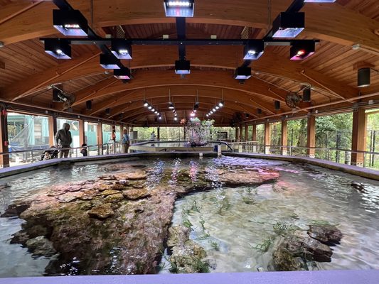 gumbo-limbo-nature-center-updated-december-2024-839-photos-229