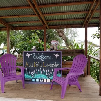 Ali'i Kula Lavender - Tours Near Me - Kula, Hawaii Ali'i Kula Lavender - Tours Near Me - Kula, Hawaii