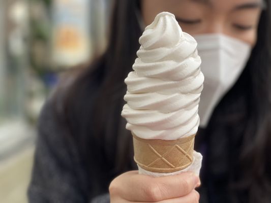 BESTIES Vegan Paradise by null