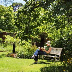 Glenella [Accommodation for Groups] - Garden