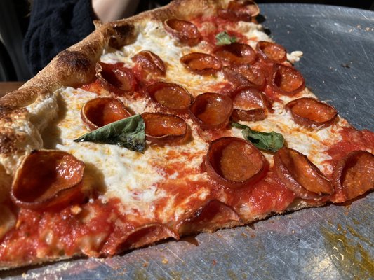 Flat Earth Pizza by null