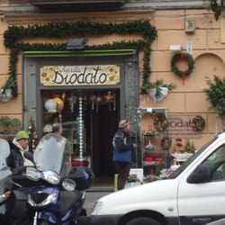 Fiori e Piante