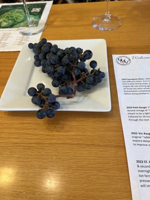 Glen Manor Vineyards by null