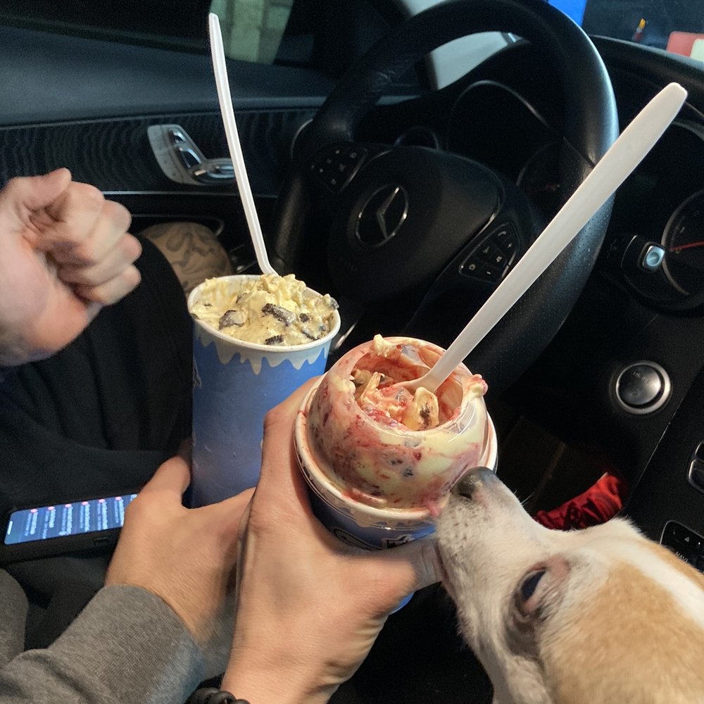 Fosters Freeze - Glendora - Dogs love Fosters freeze too! - Ice Cream & Frozen Yogurt Near Me - Glendora, California Fosters Freeze - Glendora - Dogs love Fosters freeze too! - Ice Cream & Frozen Yogurt Near Me - Glendora, California