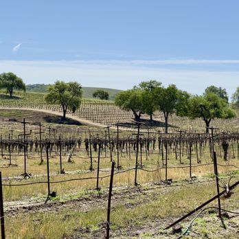 Sculpterra Winery & Sculpture Garden - Wine Tasting Room Near Me - Paso Robles, California Sculpterra Winery & Sculpture Garden - Wine Tasting Room Near Me - Paso Robles, California