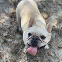 Mac! Breathing easy!