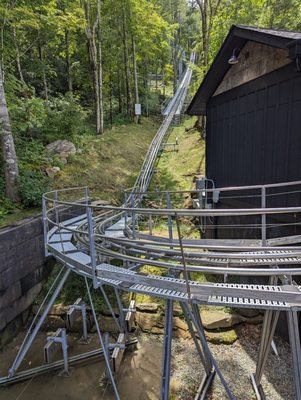 Wilderness Run Alpine Coaster by null