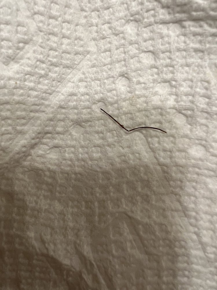 PIZZA HUT 21 Reviews 2101 104 Pyramids Village Blvd, Greensboro