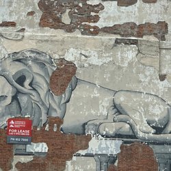 Resting Lion