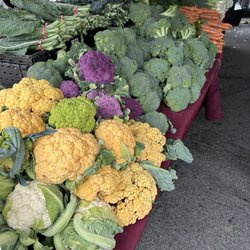 Avila Farms - Vegetables at the Fort Mason Center Farmers Market