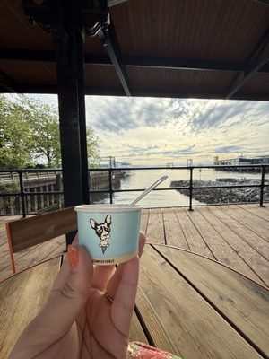 Molly Moon's Homemade Ice Cream Waterfront by null