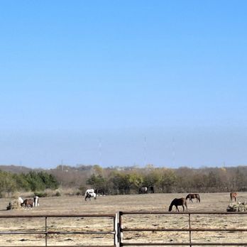 Galaxy Riding School - One of our huge pastures for turn out! - Horseback Riding Near Me - Farmersville, Texas Galaxy Riding School - One of our huge pastures for turn out! - Horseback Riding Near Me - Farmersville, Texas