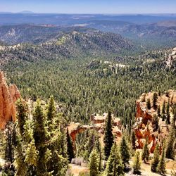 Farview Point