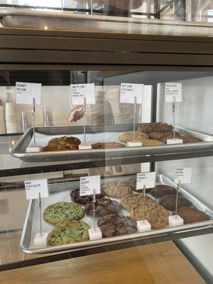 The Backyard by null