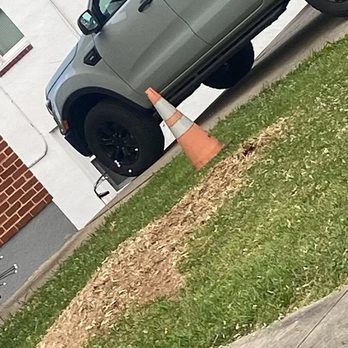 Clear View Tree Services - Great clean up job when they were done - Tree Services Near Me