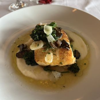 Ocean Prime - Seafood Near Me - Tampa, Florida Ocean Prime - Seafood Near Me - Tampa, Florida