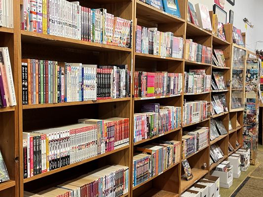 Recycled Books Records CDs by null