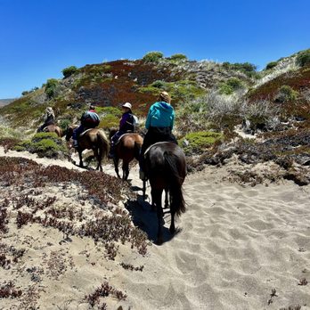 Five Brooks - Horseback Riding Near Me - Bodega Bay, California
