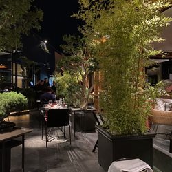 Tahini - Lovely ambiance