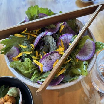 Izakaya Gama - Salad - so beautiful! - Izakaya Near Me - Point Arena, California
