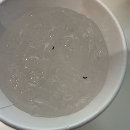 Ants in my sprite after 2 sips I see little bugs floating at the top. I open the lid and there's ants all inside the cup