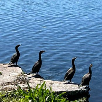 Crescent Lake Park - Playgrounds Near Me - St. Petersburg, Florida Crescent Lake Park - Playgrounds Near Me - St. Petersburg, Florida