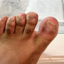 Barry's Beauty Bar