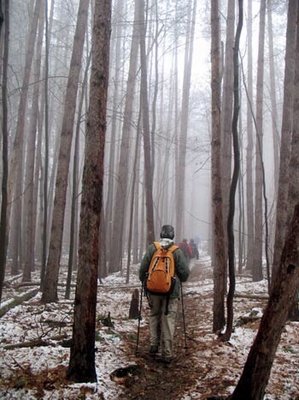 Finger Lakes National Forest by null
