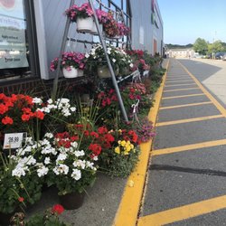 Stop & Shop - Waterford S&S has lots of beautiful flowers and plants. They all look great with a large selection.