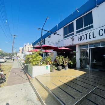 BaoVegan - Vegan Near Me - Cancún, ROO BaoVegan - Vegan Near Me - Cancún, ROO