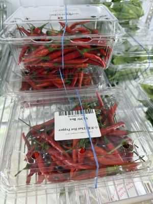 Hanna & Tiger's Asian Mart 小卖部 by null