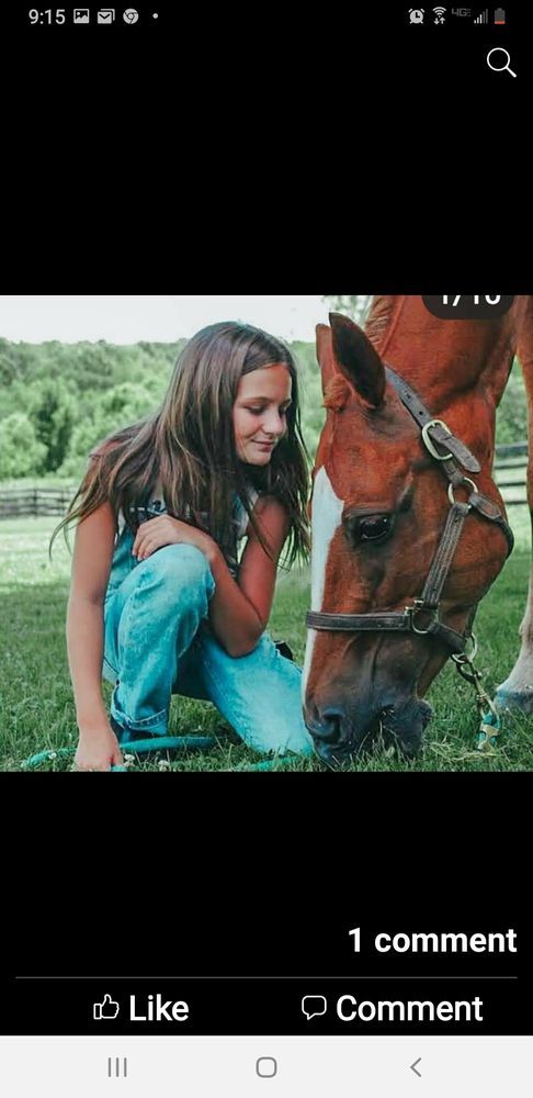 Vantage Point Stable - equestrian in Wadsworth, OH