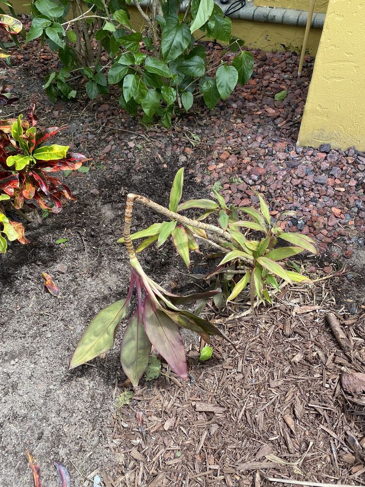 Slide of Bringman Roofing