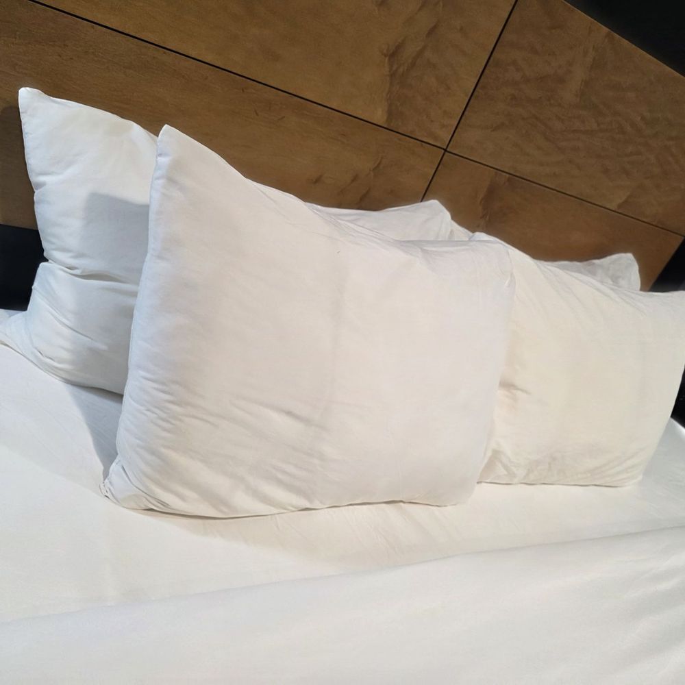 Quality Inn Denton - Dirty pillowcases - Hotels Near Me - Denton, Texas Quality Inn Denton - Dirty pillowcases - Hotels Near Me - Denton, Texas