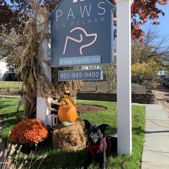 Paws on Pelham - Right outside the inn with our pup! - Hotels Near Me - Newport, Rhode Island Paws on Pelham - Right outside the inn with our pup! - Hotels Near Me - Newport, Rhode Island