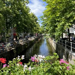 Nancy Thomas Travel