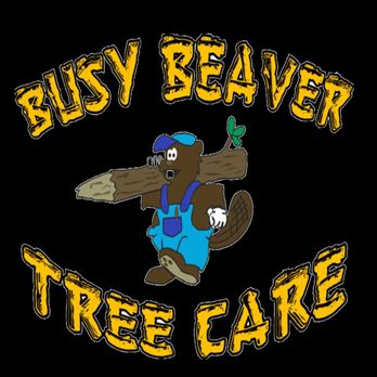 Busy Beaver Tree Care - Tree Services Near Me - Roscoe, Illinois