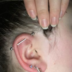 Medusa - Industrial bar 9 days after piercing.