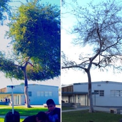 Ralston Intermediate School - Fall and Winter