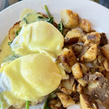 The Daily Grind Cafe - Eggs Florentine - Coffee & Tea Near Me - San Diego, California The Daily Grind Cafe - Eggs Florentine - Coffee & Tea Near Me - San Diego, California