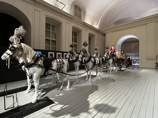 La Venaria Reale by null