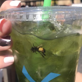 Dutch Bros Coffee - Coffee & Tea Near Me - Tempe, Arizona Dutch Bros Coffee - Coffee & Tea Near Me - Tempe, Arizona