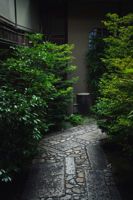 Luxury hotel SOWAKA by null