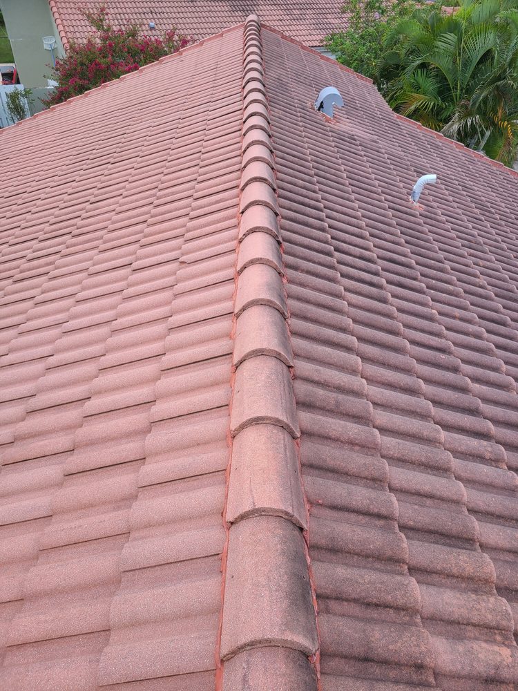 Slide of Nj Pressure Washing and Roof Cleaning