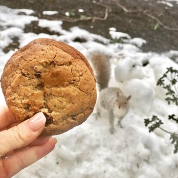 Aurora Grace - Their chocolate chip cookies...ahhhhmazing ($3.00) also my furry friend - Bakeries Near Me - Philadelphia, Pennsylvania Aurora Grace - Their chocolate chip cookies...ahhhhmazing ($3.00) also my furry friend - Bakeries Near Me - Philadelphia, Pennsylvania