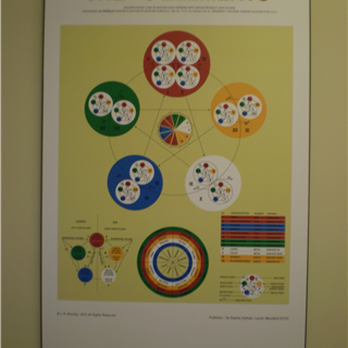 Elizabeth Heffelfinger - Classical Five Element Acupuncture Chart - Acupuncture Near Me - Halifax, Nova Scotia Elizabeth Heffelfinger - Classical Five Element Acupuncture Chart - Acupuncture Near Me - Halifax, Nova Scotia