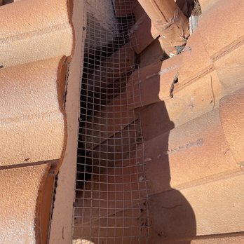 Pest Control Solutions - Pigeon exclusion, nest removal and clean up - Pest Control Near Me - Henderson, Nevada