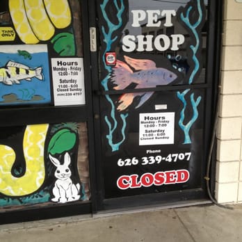 Pet Palace - Pet Stores Near Me - Covina, California
