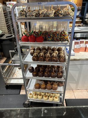 Amy's Candy Kitchen by null