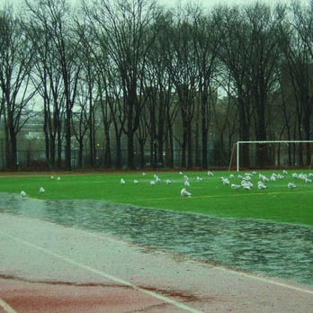 East River Park - another soccer team - Parks Near Me - New York, New York East River Park - another soccer team - Parks Near Me - New York, New York